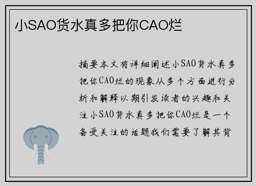 小SAO貨水真多把你CAO爛