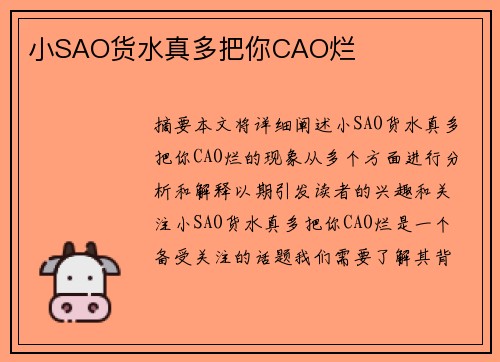 小SAO貨水真多把你CAO爛